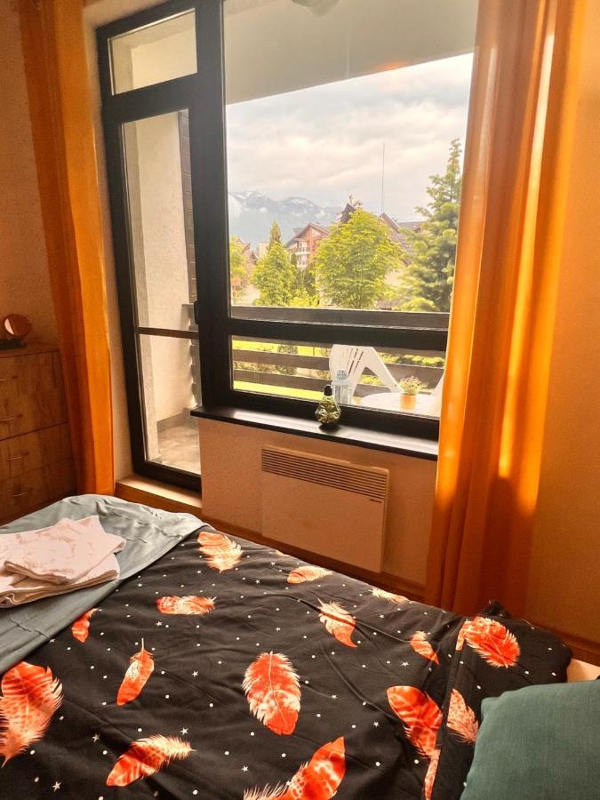 Cosy Studios With Mountain View Near Bansko Разлог Екстер'єр фото